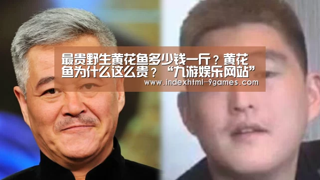 九游官网入口地址