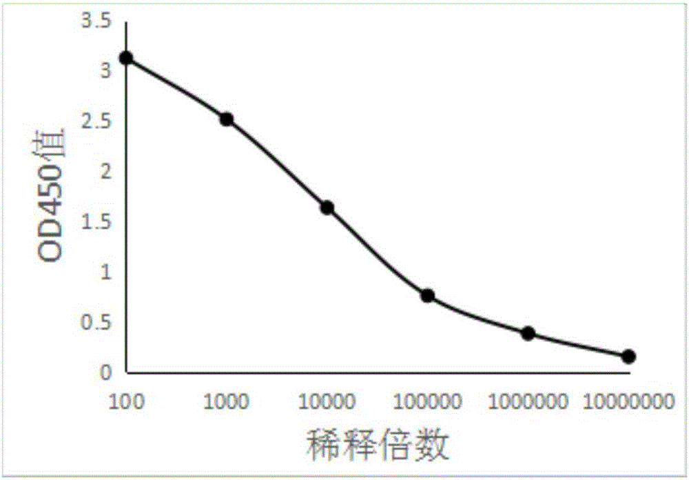 九游体育下载