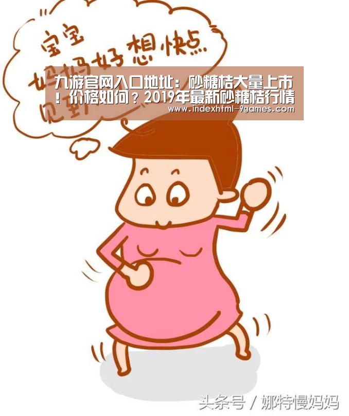 九游官网入口地址