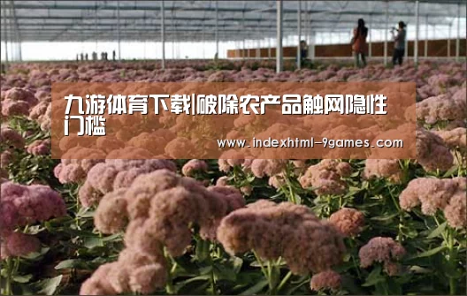 九游体育下载