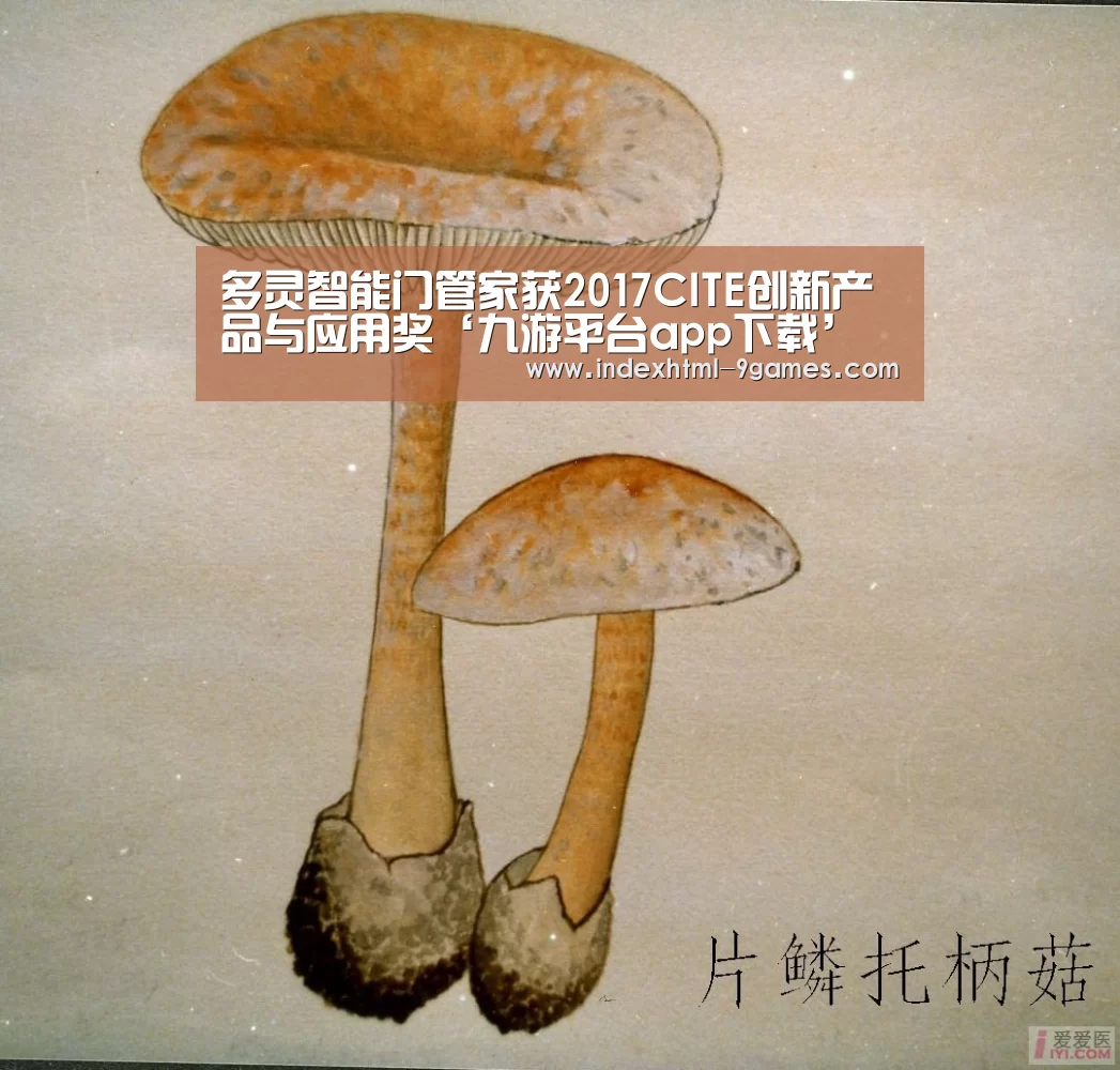 九游体育官网