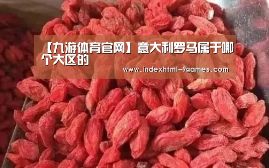 九游官网入口地址