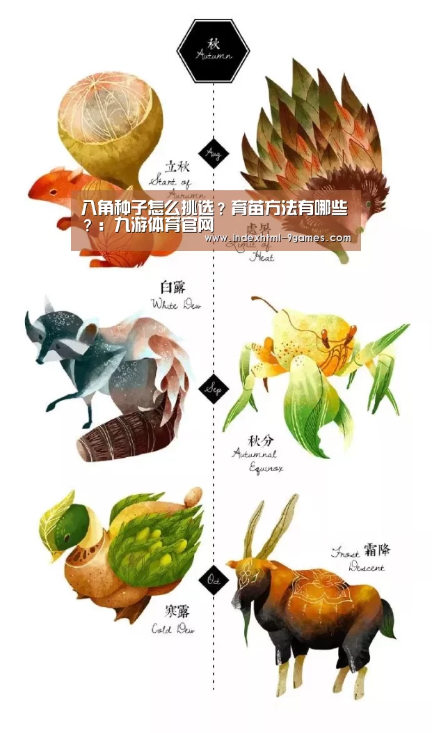 八角种子怎么挑选?育苗方法有哪些?:九游体育官网(图3) 九游官网入口地址