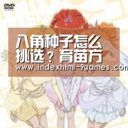 八角种子怎么挑选?育苗方法有哪些?:九游体育官网(图2) 八角种子怎么挑选?育苗方法有哪些?:九游体育官网(图2)