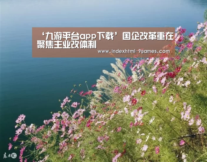 ‘九游平台app下载’国企改革重在聚焦主业改体制(图1) 九游体育下载