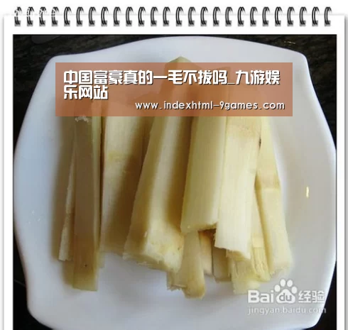 九游体育官网